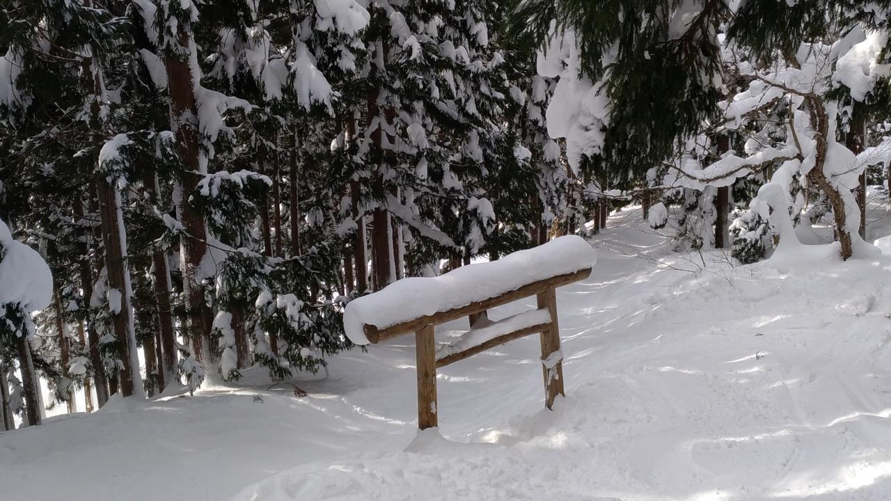 Nozawa Dream Hotel Eksteriør billede