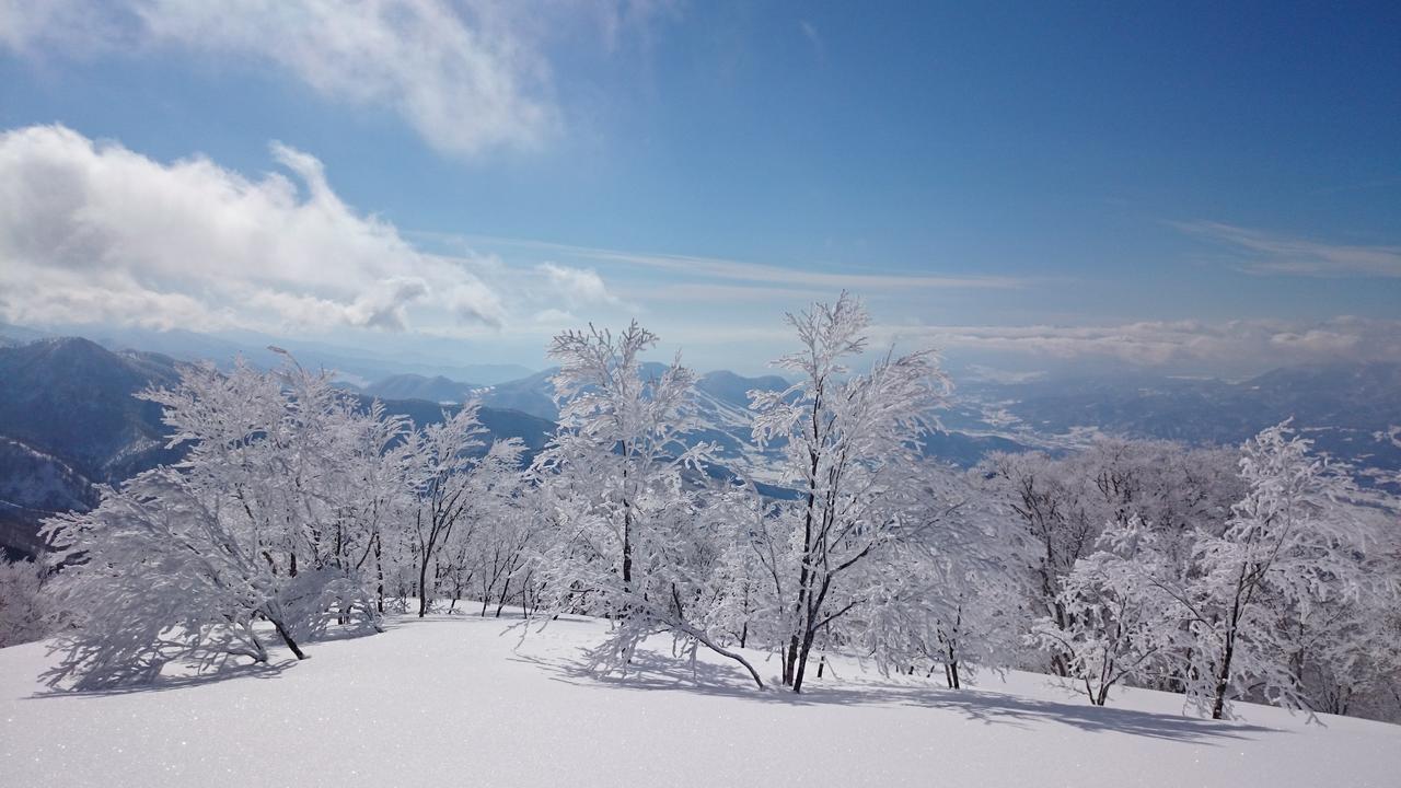 Nozawa Dream Hotel Eksteriør billede