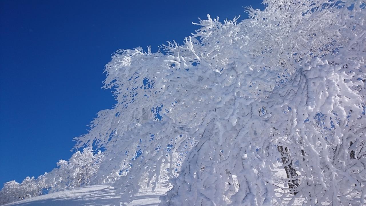 Nozawa Dream Hotel Eksteriør billede