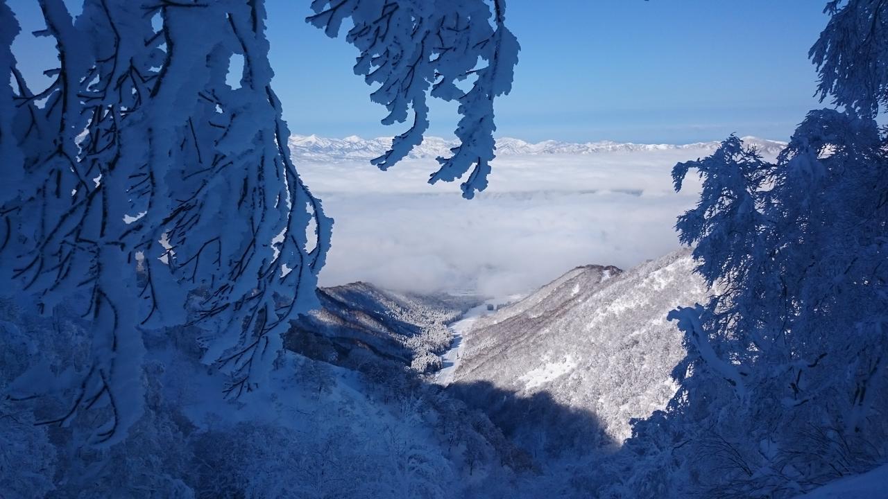 Nozawa Dream Hotel Eksteriør billede